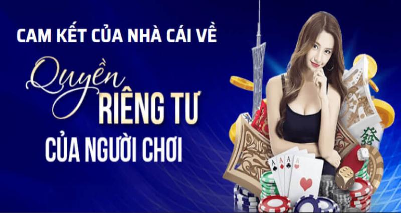 Các chính sách quyền riêng tư đang được Caotien368 (sv368) áp dụng?